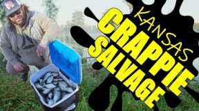 Cooler Cramming Crappies At The Kingman State Fishing Lake Salvage In Kingman Kansas.