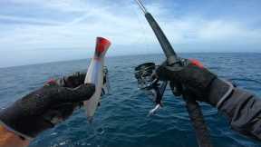 Epic Day Offshore Fishing With Topwater and Trolling