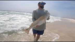 Catching Fish on a Secluded Beach (Catch and Cook)