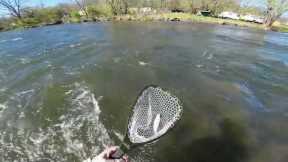 Live Action Tight Line Fly Fishing