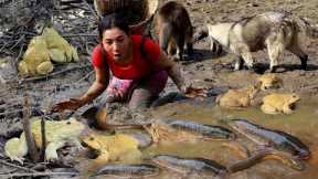 Solo in forest- Catch and cook eel frog and fish for food of survival