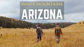 Apache Trout: Isolated in Paradise | Natural Splendor & Wild Trout | Fly Fishing Arizona