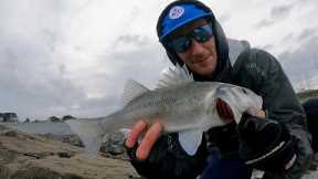 LURE FISHING FOR BASS | A QUICK SESSION IN SOME HEAVY SWELL | UK BASS FISHING