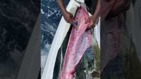 Cleaning Dolphin in Record Time! #Shorts