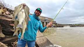 This RAGING SPILLWAY was ABSOLUTELY LOADED with Fish! -- CATCH and COOK!