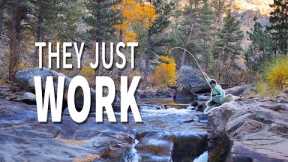 These 3 Rules Will Help You FIND + FISH the BEST Water on Earth