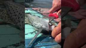 Florida Catch and Cook