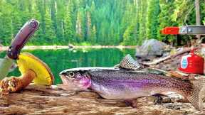 Fishing | fish market | fish trap | fishing videos