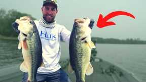 Start FINDING Bass FASTER Than Your Friends (Bass Fishing Tips)