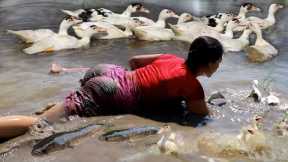 Catching many duck and fish for food of survival- Roasted duck spicy chili +3cooking food in forest