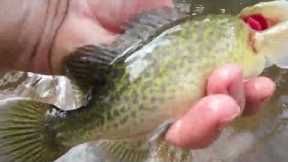 How to find good fishing spots