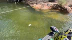 Smith Lake Bass Fishing (Spawning Bass and Glide Baits)