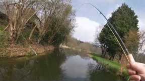 Spring Hill Trout Water - Spring 2023 Fly Fishing Fun