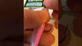 Fishing Tips: Rigging a soft plastic lure on a jighead