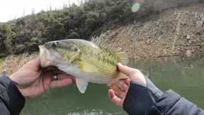 Lake Oroville Bass Fishing: Club Tournament, April 2023