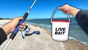 Fishing the BEACH! Eating Whatever I Catch (Catch and Cook)