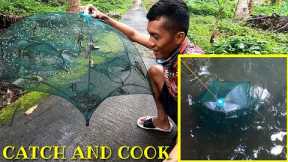 Catching shrimp using foldable fish & shrimp trap, | Catch N' Cook |