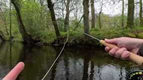 Fly Fishing on the River Doon with Davie McPhail