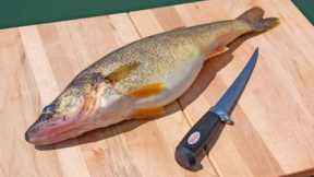 How to Fillet Fish - Freshwater