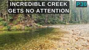 Incredible trout fishing in a wilderness setting - My last day in Idaho! p31