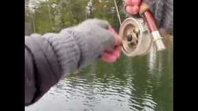 I Made ONE FLY CAST...& THIS HAPPENED