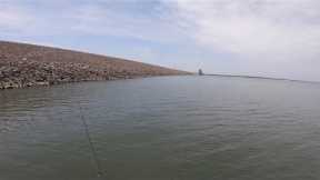 The dam on this lake was absolutely covered in fish! Never seen it like this before! May 2023!