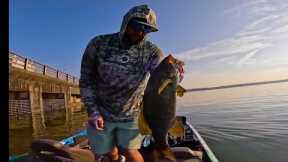 Bassmaster Opens EQ Wheeler Lake (Tournament Practice)