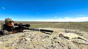 Not your Typical Family Vacation! (Prairie Dogs, Fish and Steak Catch & Cook)