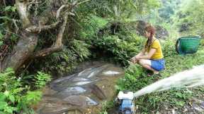 Fishing Exciting - River and Lake Fishing Experience, Fishing Machine Catch Many Fish In The Lake