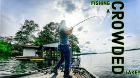 These BASS Were SUPPOSED To Be SHALLOW But They WERE Deep!! || Lake Gaston Bass Fishing