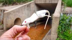 Fishing The MOUSE LURE In Front Of A TUNNEL!!! (It Got DESTROYED)