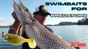 Swimbait Fishing on Rainy Lake