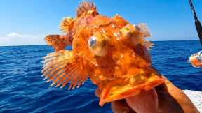 What the HECK is this? Rob needs10 fish {Catch clean cook} if it were easy, everybody would do it!
