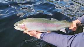 Amazing Stillwater Chironomid Fly Fishing in British Columbia Canada