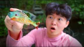 I Went Fishing With Realistic Baits!!