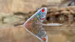 Beginners Guide to Soft Plastics  (PT1)