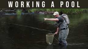 Fly Fishing - How To Break Down A Pool