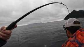 2022 1 Week's worth of fishing