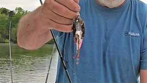 Fishing Lake Brandt With Crankbaits After the Rain