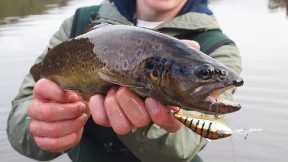 Fishing Lake Pedder with HALCO TACKLE (New TB55 Lure)!!