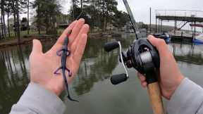 Lake Lanier Bass LOVE the Lizard!!