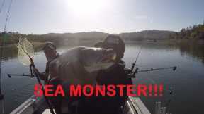 Fishing for Kings and Rainbows at Folsom Lake