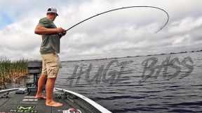 Fishing For 12LB TROPHY BASS! (This SECRET Lake Is LOADED)