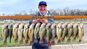 Lake Minnetonka Spring Crappie Catch N' Cook!