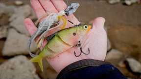Finding Free Fishing Lures!