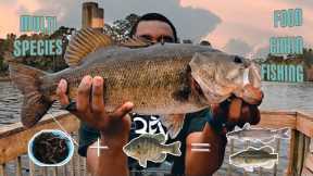 Lake Talquin|How To Catch More Panfish| Live Bait Fishing| Food Fishing Chain Challenge|LOADED FISH