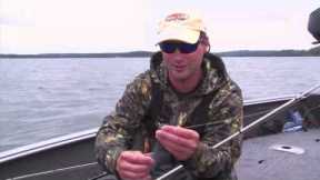 Rainy Lake Muskies