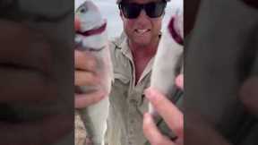 Mini CATCH AND COOK delicious fish on the beach