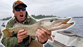 Light Line Pike Fishing Challenge | 1v1 Try to Keep your LURES!