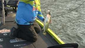 Fishing with Johnny Johnson - August Crankbaits at Roosevelt Lake, AZ